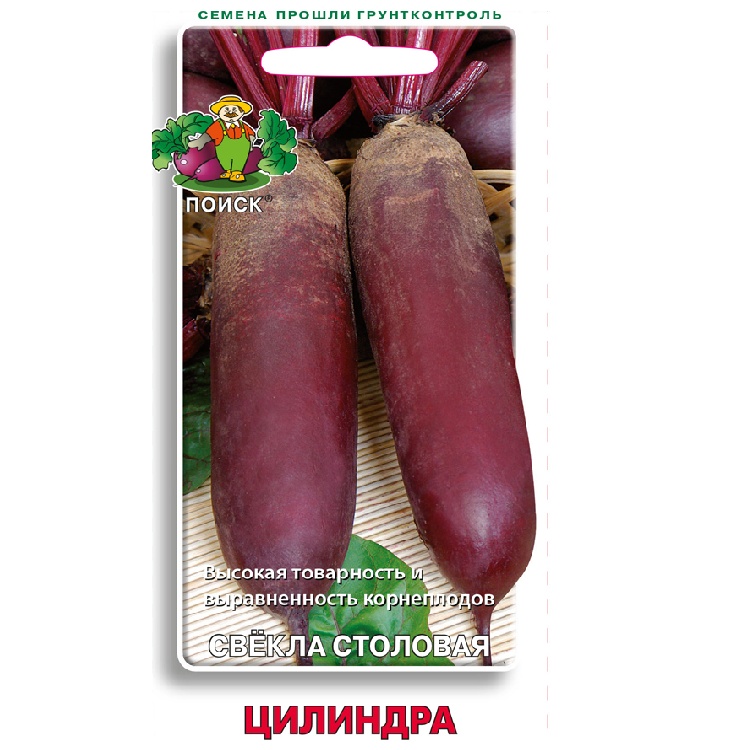 Свекла столовая "Цилиндра" 3г (10/100) "Поиск"                                                                                                                                                          