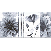 TP3601SWFY Плитка настенная Галатея Декор Цветы 30*60см 1,8м2                                                                                                                                           