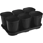 Набор горшков для выращивания рассады с поддоном, 6штх400мл                                                                                                                                             