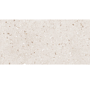 GT161VG Плитка облиц. Essen GT темно-беж. 30x60 _ 1\58,32                                                                                                                                               