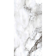 PR221 Керамогранит Acacia 60*120см polished   NEW!                                                                                                                                                      